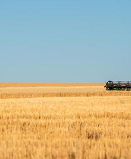 Combine in field