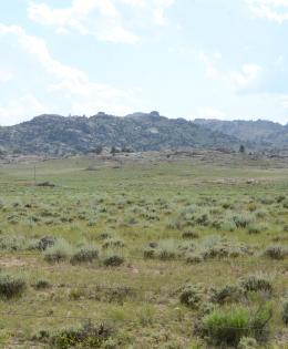 Blue skies, soft mountain in the distance on green ranch land