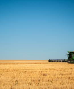 Harvest Ridge Organics harvests wheat on a field near Reservoir A in Lewiston, Idaho. The Lewiston Orchards Project provided water to irrigate rich orchards in the area. With urbanization, the water primarily is used for lawns, small hobby farms, and municipal purposes. The agricultural industry in the Lewiston area is now primarily dry-land farming, growing crops like wheat and rapeseed. 07/17/2018 Photo by Kirsten Strough